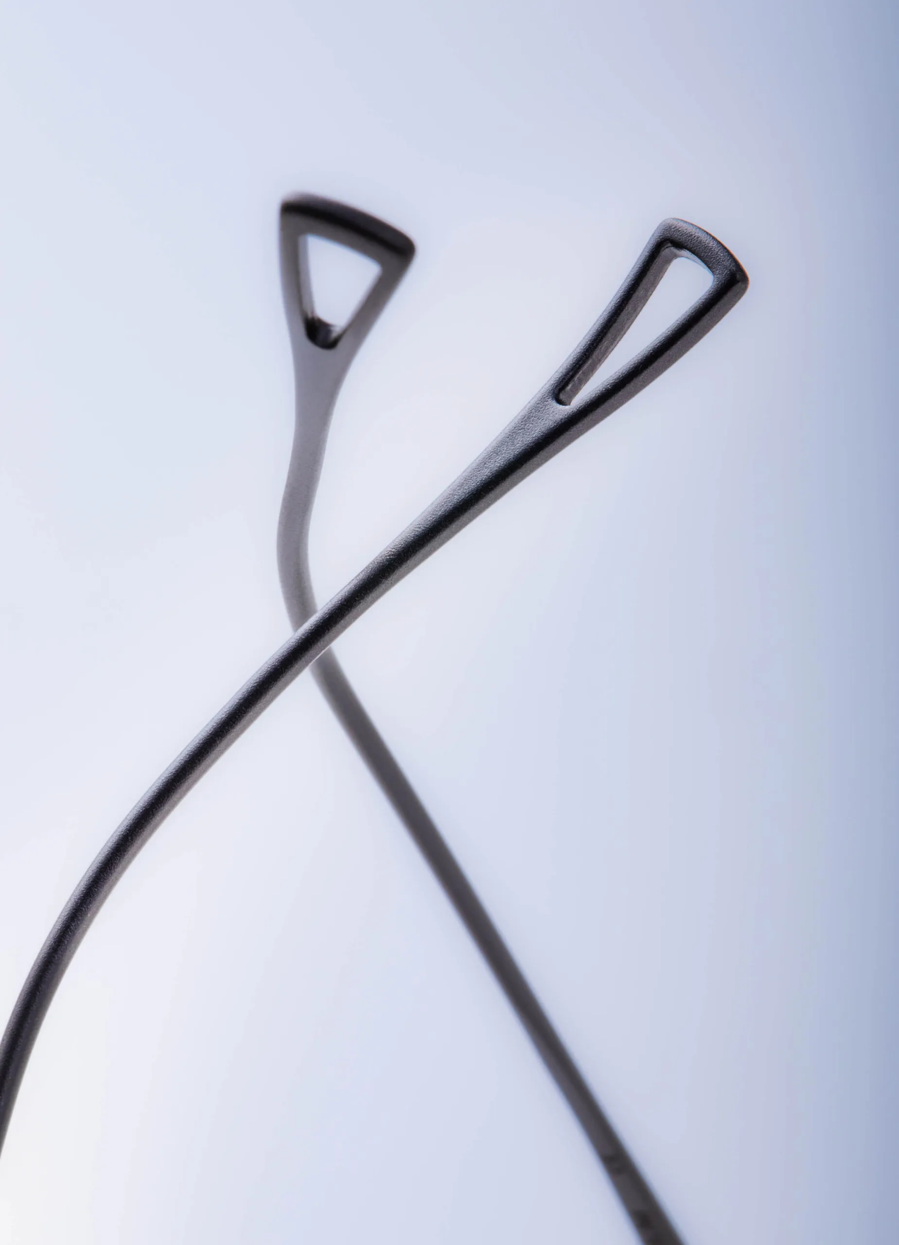 1231_d6 Kame ManNen 1231