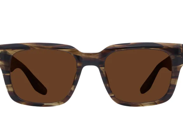 Sulcata Tortoise / Espresso (AR)