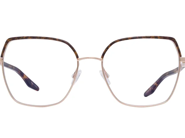 Barton Perreira - Surya