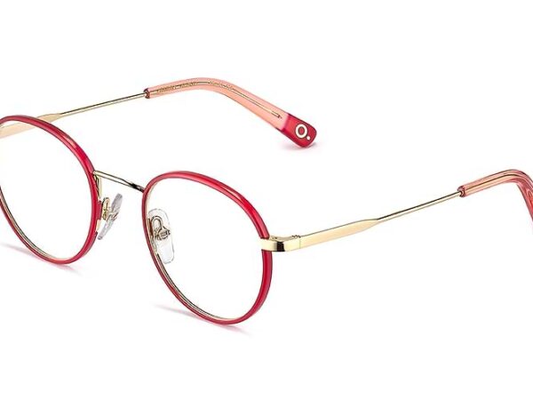 Etnia Barcelona HARRY RDGD eyeglasses