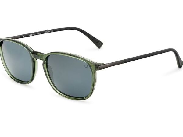 Etnia Barcelona CACTUS GRBK sunglasses