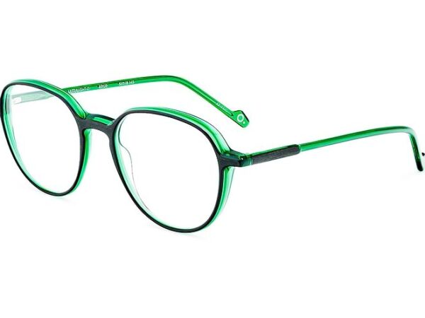 Etnia Barcelona ULTRA LIGHT 11 BRGR eyeglasses