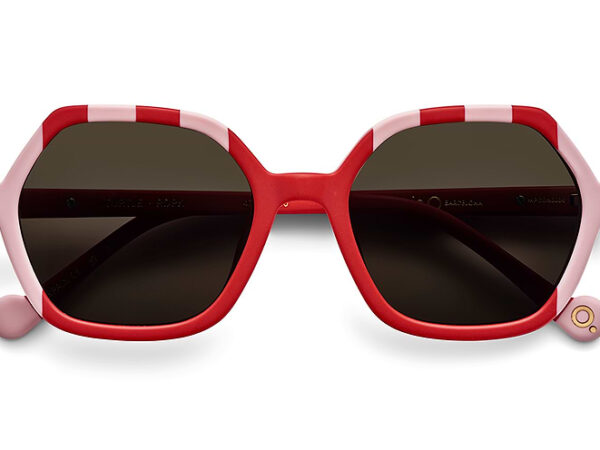 Etnia Barcelona TURTLE SUN RDPK sunglasses